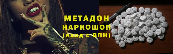 прущие грибы Ачинск