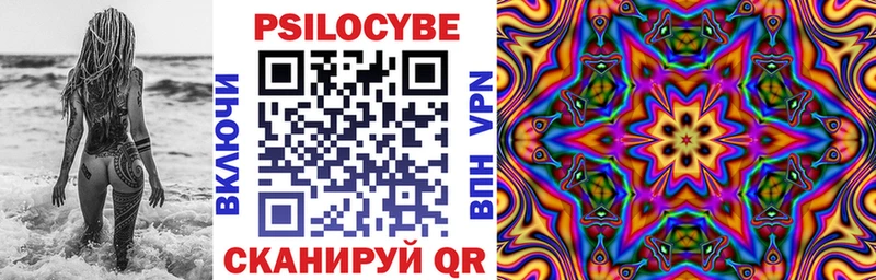 Галлюциногенные грибы Cubensis  Горячий Ключ 